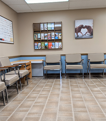 Webberville Animal Clinic